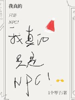 Ta thật sự chỉ là NPC!